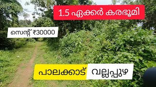 1.50 Acre Land For Sale | കരഭൂമി | Palakkad | Vallapuzha (സെന്റ്‌ 30000)