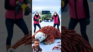 The rescue team freed the polar bear from thousands of parasites #polarbear #rescueteam parasitic