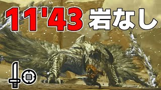 【モンハンワイルズ】 アルシュベルド 片手剣 ソロ 岩無し 11'43