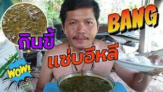 กินแกงขี้เหล็กใส่กะทิ ทำเองง่ายๆแซ่บๆครับ | พร้อมวิธีทำ | บ่าวนายstudio