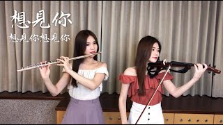 八三夭831《想見你想見你想見你》小提琴＆長笛版本 | cover by 長笛琴人