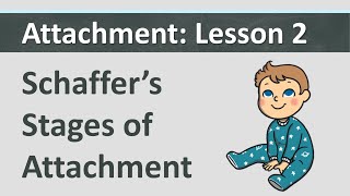Attachment: L2 - Schaffer's Stages of Attachment
