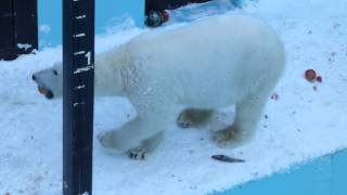 アイラの階段でお食事