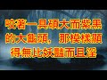 有男人要養她，她譏諷地說：妳有幾個錢，養得起我嗎？#江湖李白#X調查#wayne調查