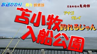 【北海道　釣り】　北海道　苫小牧市　入船公園　アナゴ、ハモを釣る！　魚種豊富