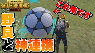 【PUBGモバイル】野良と新要素を使った連携で大盛り上がりするも、本人はお亡くなりにｗｗ【PUBGMOBILE】