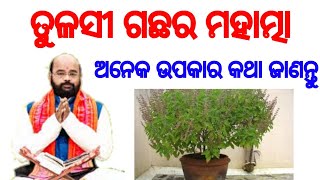 Ajir upadesh ram charan das ତୁଳସୀ ଗଛର ମହାତ୍ମା #sadhubani #odia