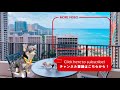 【twin suite bay view】コンラッド東京 conrad tokyo ベイビュースイート ルームツアー