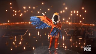 The Masked Singer 9 - Macaw sings Photograph by Ed Sheeran