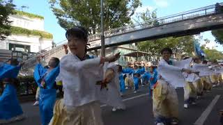 夢源風人　４K～原宿表参道元氣祭スーパーよさこい 2019（表参道アヴェニュー）