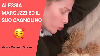 Alessia Marcuzzi ed il suo tenerissimo cagnolino! 😍😂
