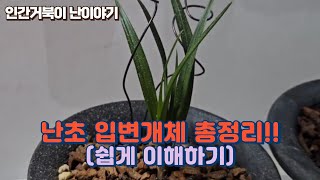 입변개체 총정리, 이것만 알면 끝!!!