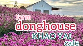 donghouse KhaoYai  - ดงเฮาส์ เขาใหญ่