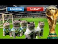 LETS UNLEASH  CATS KITTENS WORLD CUP GAME 3!