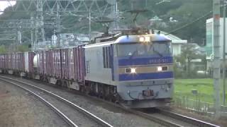 EF510 511号機牽引 貨物列車 島本駅通過