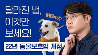 이것만 보세요! 2022년 동물보호법 개정안 총정리.zip | 설채현 행동학 수의사