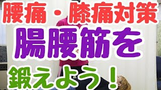 【腰痛・膝痛対策！腸腰筋を鍛えよう】東京都　目黒区　港区　自律神経　自律神経の乱れ　自律神経失調症 整体　武蔵小山　頭痛　耳鳴り めまい 慢性疲労　内臓疲労　更年期　不眠　パニック障害/原町接骨院