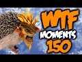 Dota 2 WTF Moments 150