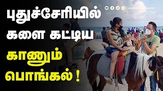 மெரினா கடற்கரையில் மக்கள் உற்சாகம்