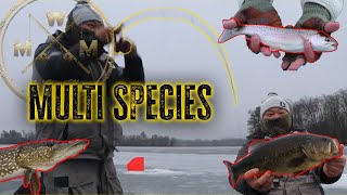 Rod and Reel Ice Fishing - MULTI SPECIES