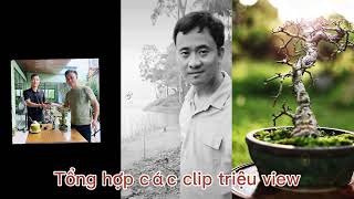 Toàn làm vườn | tổng hợp các clip triệu view trên tiktok