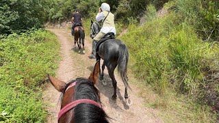 Arazi de atlı Safari