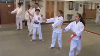 Aikido Kids and Teens Games