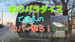 釣りパラダイスで真冬のカバー撃ち　～バス釣り・管理釣り場～　Okagesan fishing notes Lure Fishing Large mouth bass