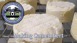 Making Camembert