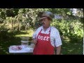 Tender Gizzards On The Bayou. Aieee! Tender Gizzards On The Bayou. Aieee!