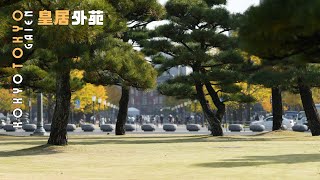 【Tokyo Kokyo】Former palace of Tokugawa Shogun aka Imperial Palace and National Garden of Japan