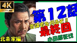 【信長の野望大志PK】血塗られた惣無事令－おまけ：咲かねど花は散るものを－【新たな歴史を刻め】【北条家】【4K】【10000時間】【12話】