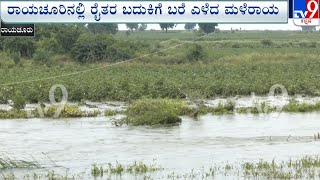 Heavy Crop Damage Including Cotton Due To Rain At Raichur