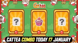 Cattea Daily Combo 17 January | Cattea Today Combo | Cattea Combo Today |