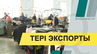 Тері экспортынан отандық өндірушілер 2 млн доллардан астам пайда тапты. Qazaq TV жаңалықтары