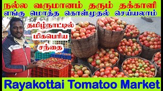 ராயக்கோட்டை தக்காளி மார்க்கெட் | Rayakottai Tomato Market | Tomato Wholesale Market |  தக்காளி சந்தை