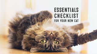 These Are The 5 Pet Essentials Your Cat Needs