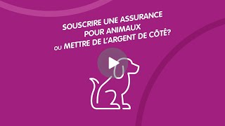 Souscrire une assurance pour animaux ou mettre de l’argent de côté?