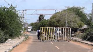 Mannar Thiruketheeswaram human grave identified 2