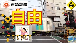 【東急踏切】自由通り踏切　東急東横線　Japan Railway crossing Tokyu LINE RAILWAY(Tokyo japan)