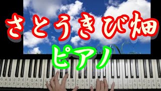 【俯瞰撮影】【歌詞付き】反戦の想いが歌に...さとうきび畑　フル ピアノ