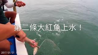 9月9日青馬艇釣