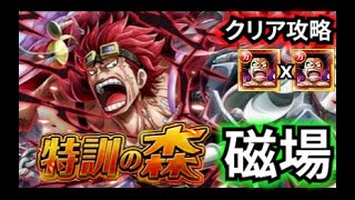 【トレクル】新特訓の森キッド磁場！！6周年ルフィパでクリア攻略！！【OPTC】【원트크】