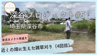 土地建物 記録篇【埼玉県深谷市】近くの畑に生えた雑草刈り（4回目）