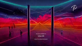 Damir Puh - Valor