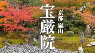 2022年11月14日 【京都の紅葉】嵐山の宝厳院のモミジを散策🍁 Walk in Hogonin Temple,Kyoto 【4K】