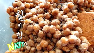 병아리콩요리 전기밥솥으로 낫또 만드는법 Homemade Chickpeas Natto