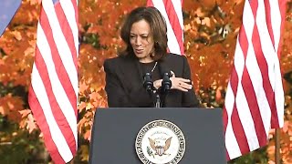 Kamala Harris call small business owners part of the backbone of America at Michigan rally