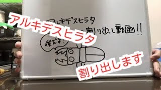 【割り出し動画】アルキデスヒラタの産卵セットを暴いてみた！