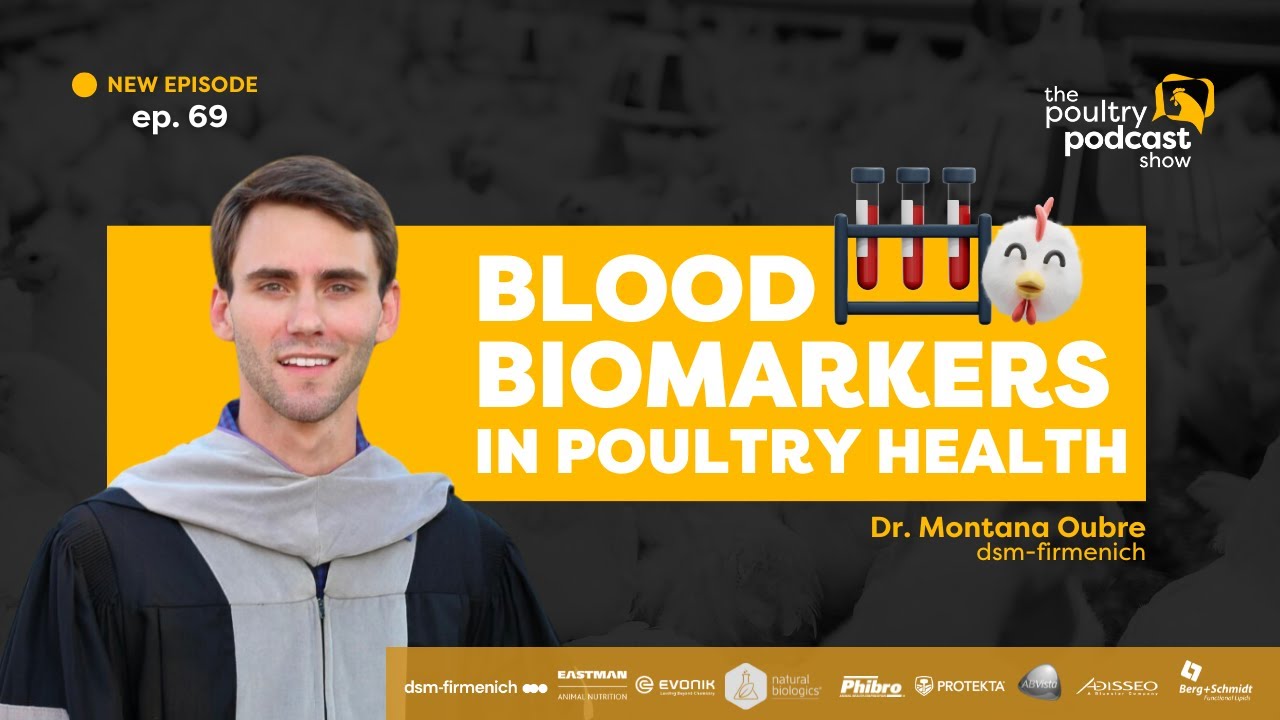 Dr Montana Oubre Blood Biomarkers In Poultry Ep 69 Youtube
